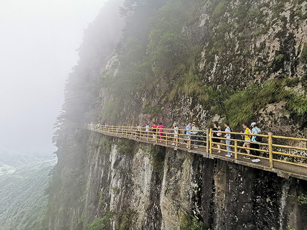 1665728090150310A508.jpg 7.jpg